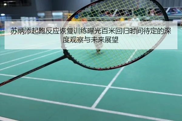苏炳添起跑反应恢复训练曝光百米回归时间待定的深度观察与未来展望