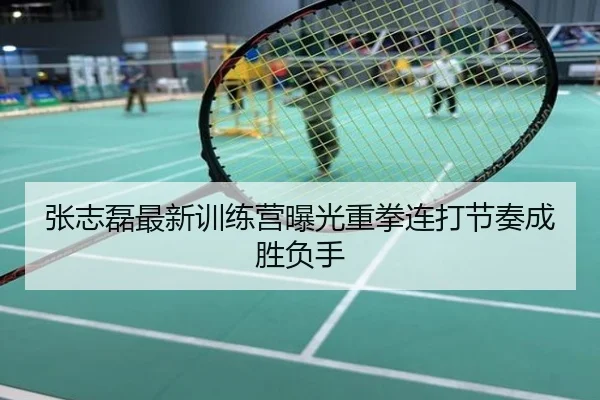 张志磊最新训练营曝光重拳连打节奏成胜负手